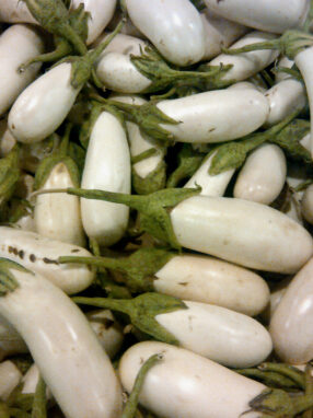 aubergine-blanche