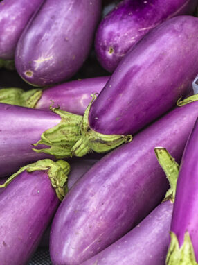 aubergines-violettes