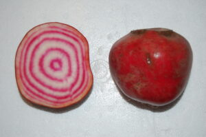 betterave-chioggia