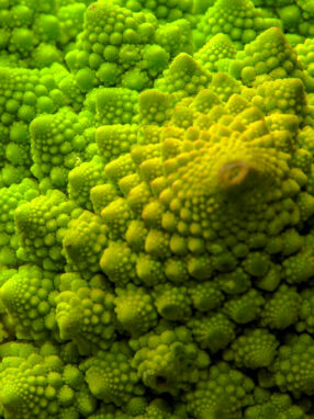 brocoli-romanesco