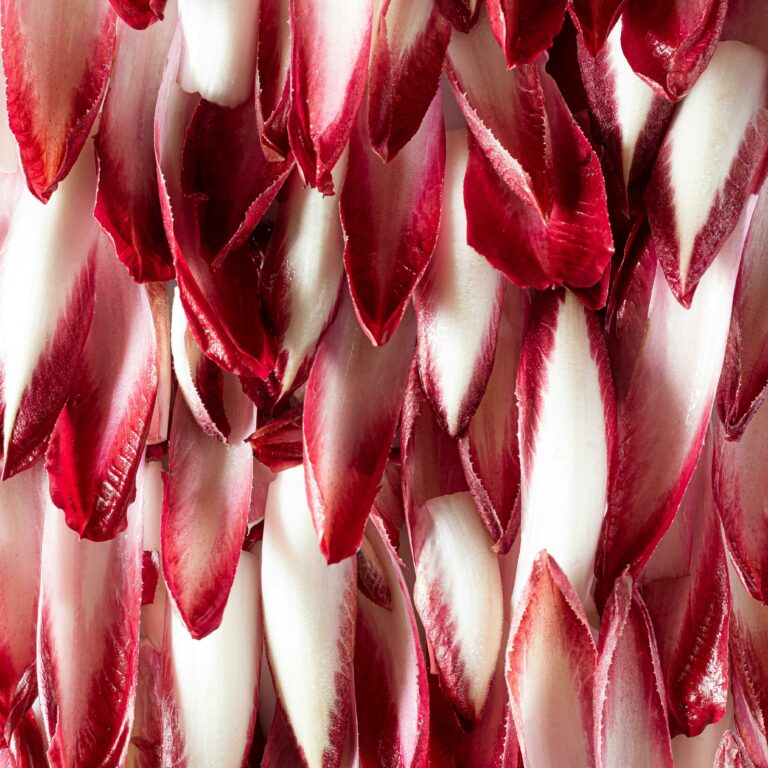 cuisiner les endives