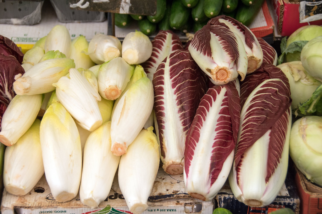 histoire-endive