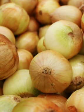 oignon-jaune