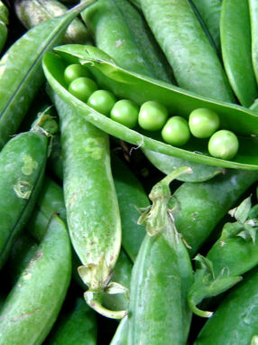 petit-pois-doux